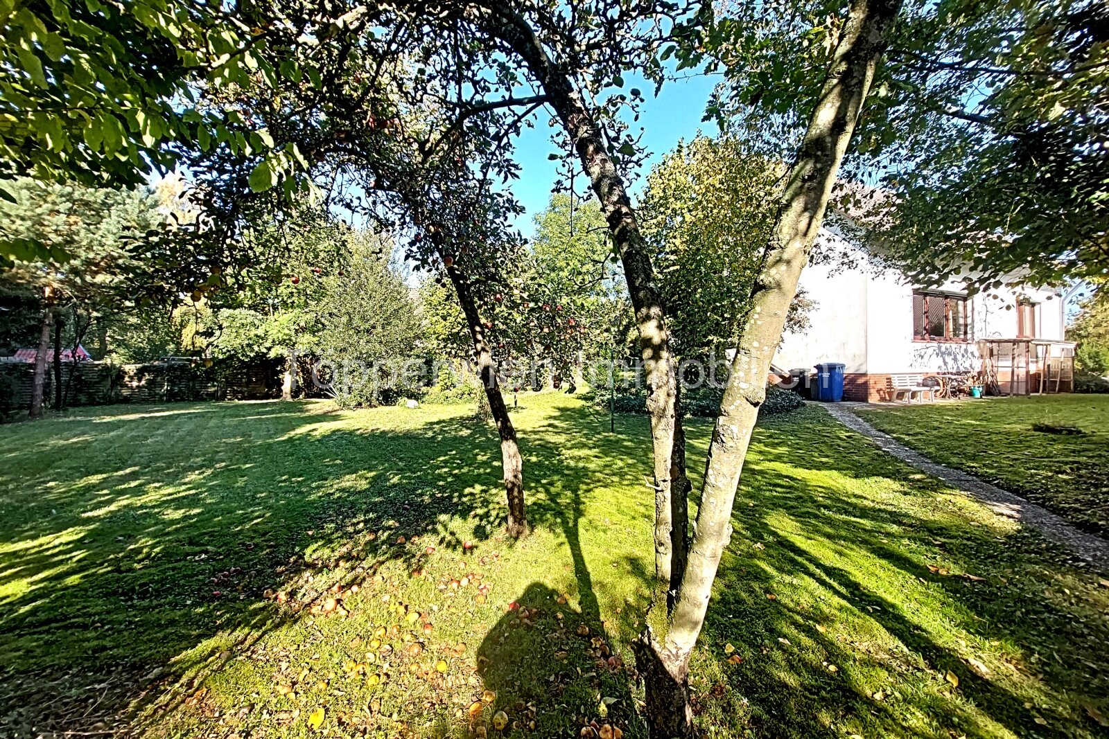 VERKAUFT! Familientraum mit Entwicklungspotenzial: Einfamilienhaus, großzügiges Grundstück in Müden Aller zu verkaufen