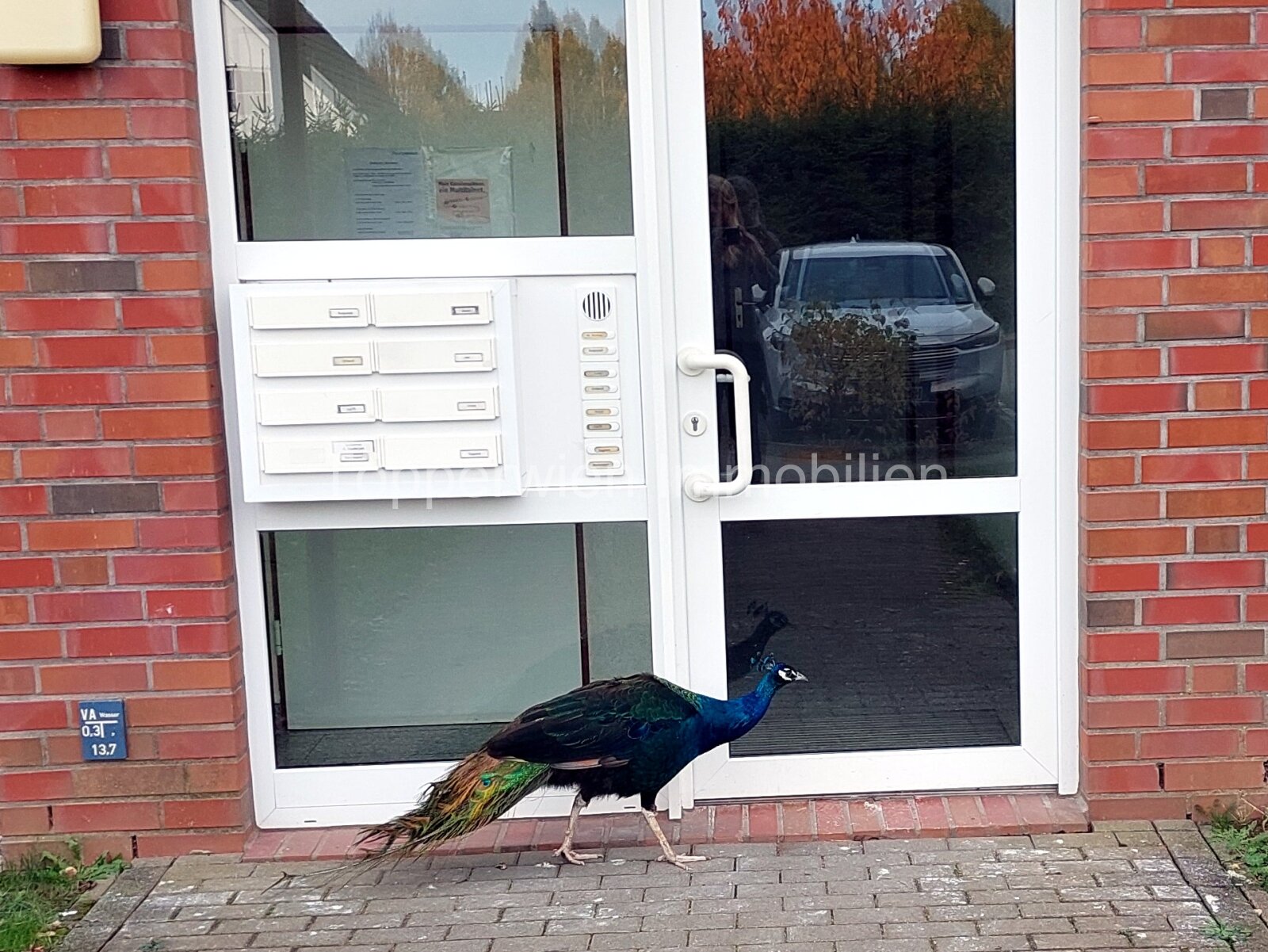Verkauft! Tierpark vor der Tür, schönes Wohnen im Erdgeschoss mit Terrasse